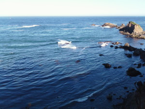 SAM_0868
